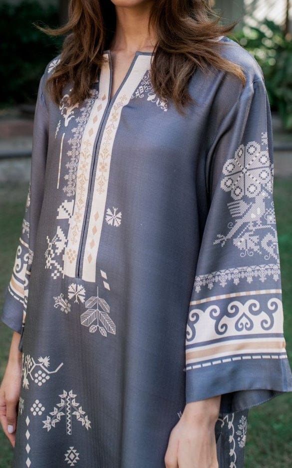 Noor-E-Grey with Pants